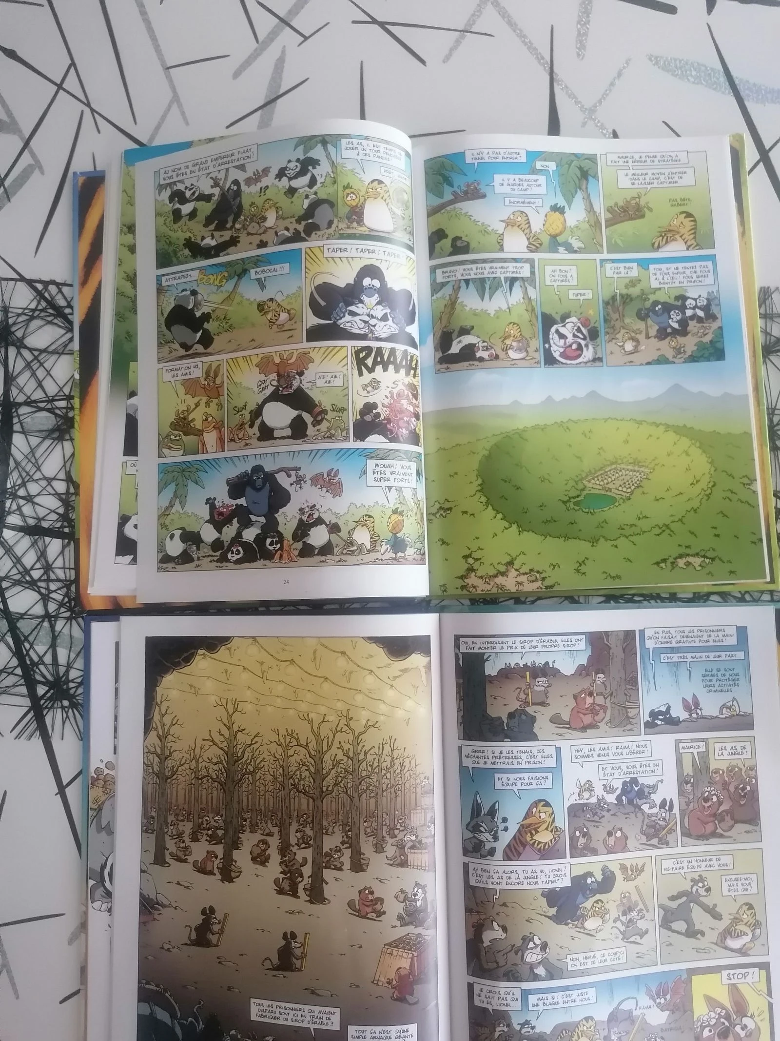 Lote de 2 BD Os As da Selva 📚 – photo 19